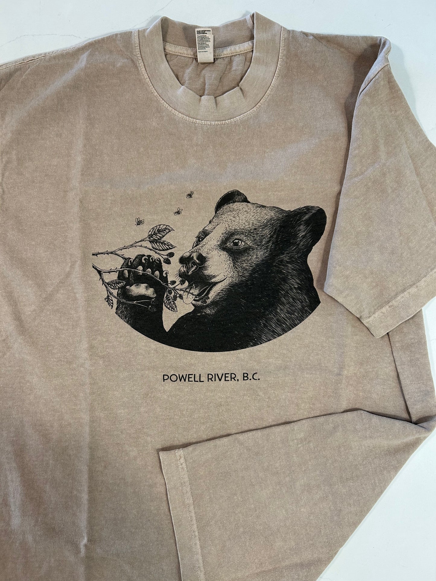 Anchor Bear